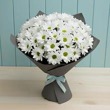 Букет цветов из:  Хризантемы #REPLACE_PRED# Бессоновке