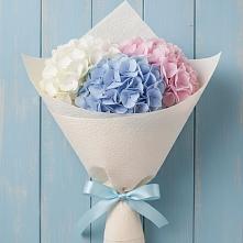 Букет цветов из:  Гортензия в Бессоновке