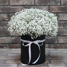 Цветочная композиция из Гипсофила в шляпной коробке #REPLACE_PRED# Бессоновке